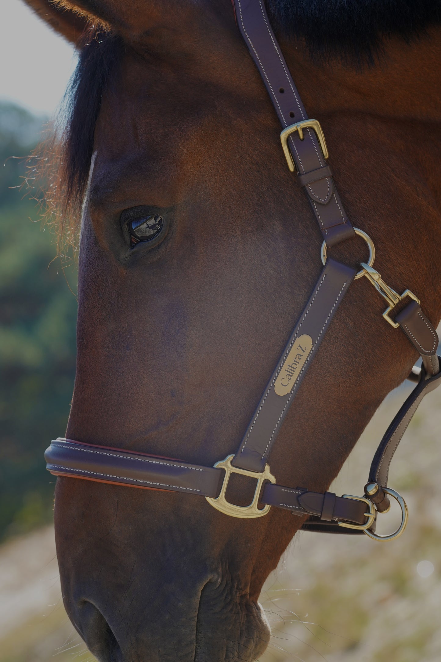 Luxe bruin lederen halster – anatomisch, met naamplaatje